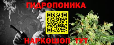 прущие грибы Чебоксары