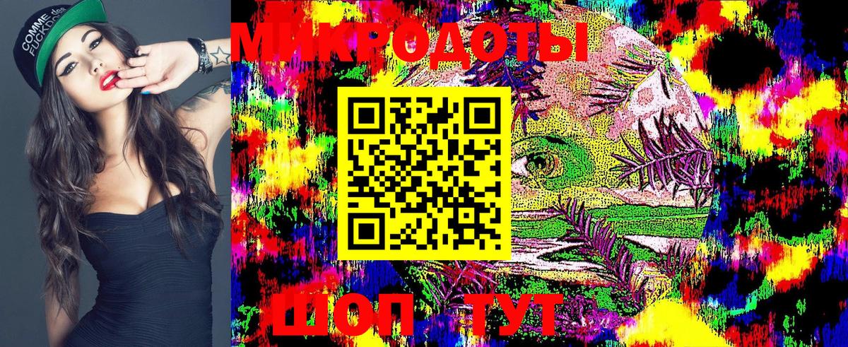 Псилоцибиновые грибы Psilocybine cubensis Киров