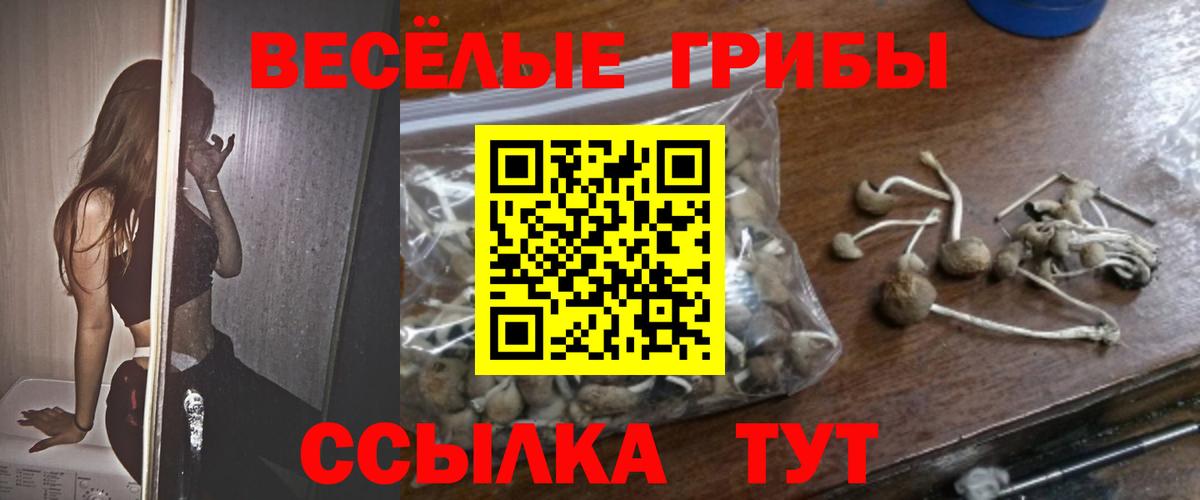 Псилоцибиновые грибы прущие грибы  Псилоцибиновые грибы мухоморы  Вход с VPN  Киров 